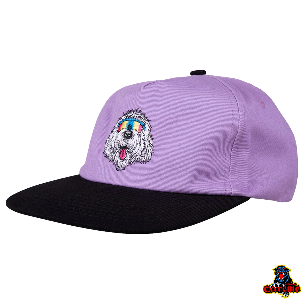 SANTA CRUZ CAP  MCCOY DONUT DOG CAP Lavender