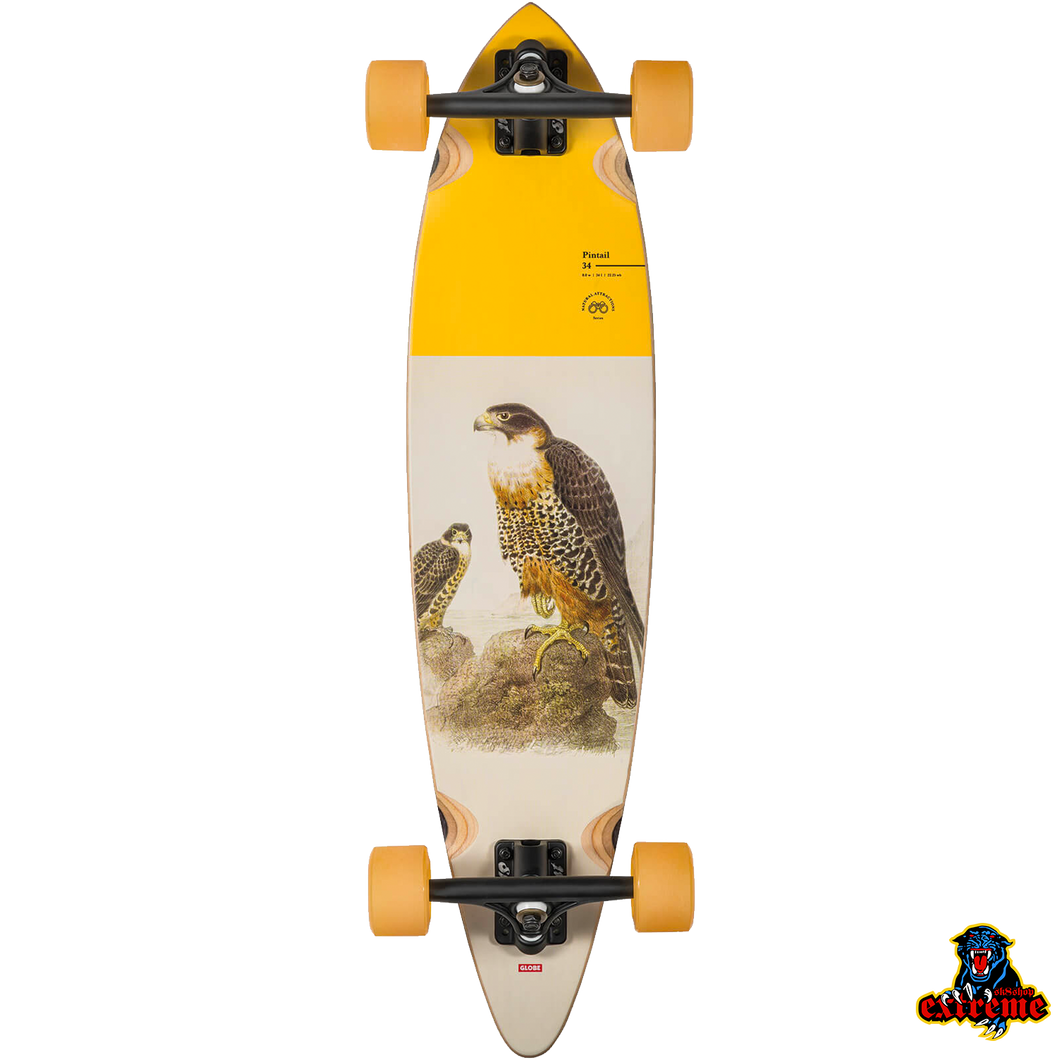 GLOBE LONGBOARD Pintail 34 Falcon