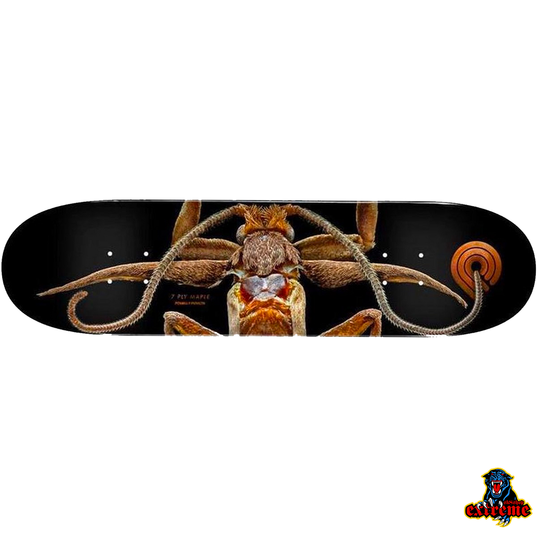 POWELL PERALTA DECK Levon Biss Marion Flightless Moth